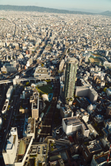 DSC04164