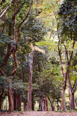 DSC04398