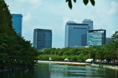 DSC01795