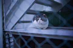 _7R32460_DxO