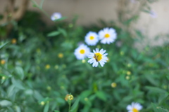 P1030631