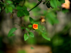 P1081984