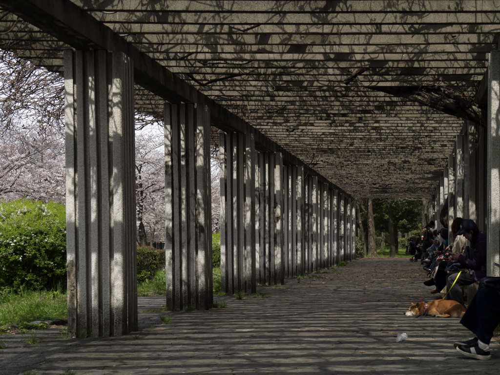 _G9P4469_DxO