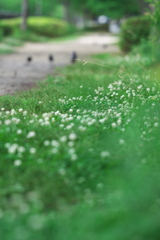 DSC01282