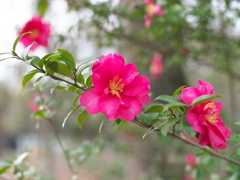 P1051619