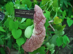 P1082348