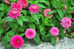 DSC01866
