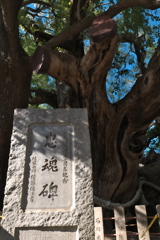 P1000282
