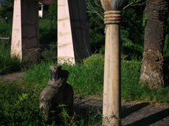 P1104444