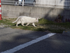 _1080892_DxO
