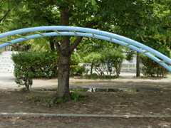 _1000672_DxO