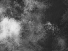 拡大すると・・・