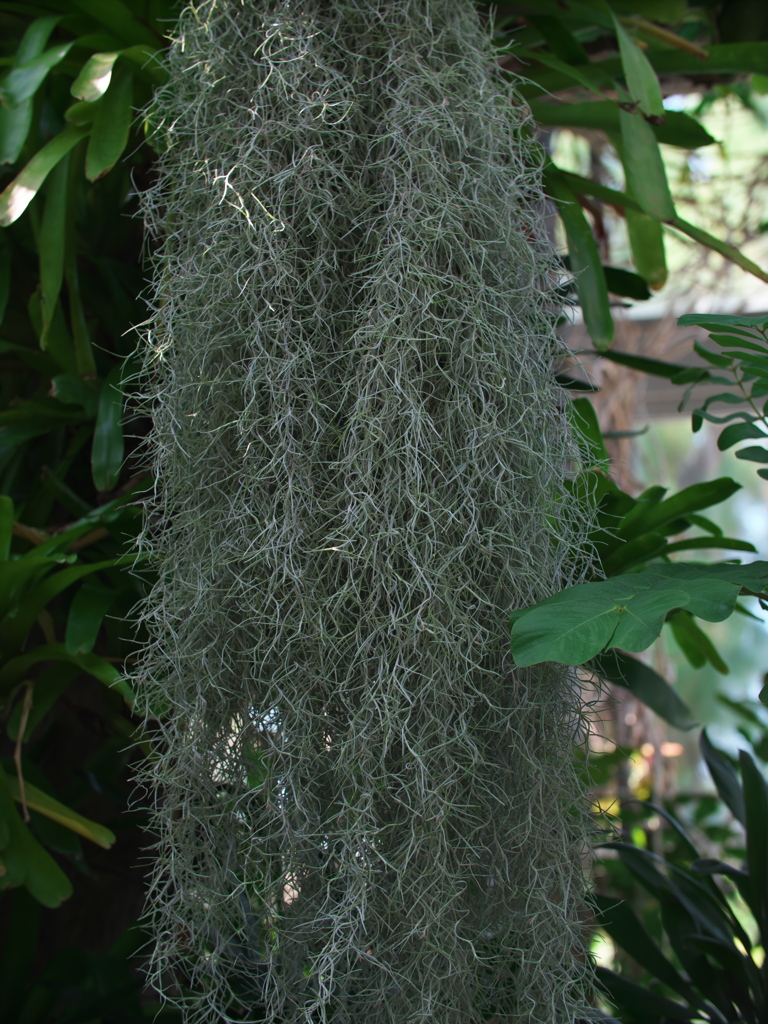 P1082358