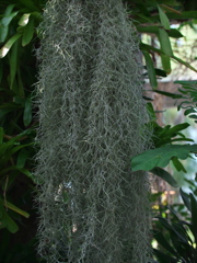 P1082358