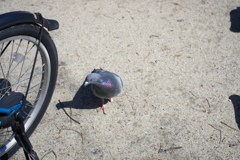 DSC01720_DxO