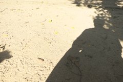 P1030856