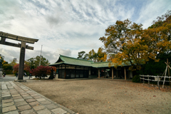DSC00081_1