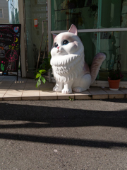P1070179_DxO