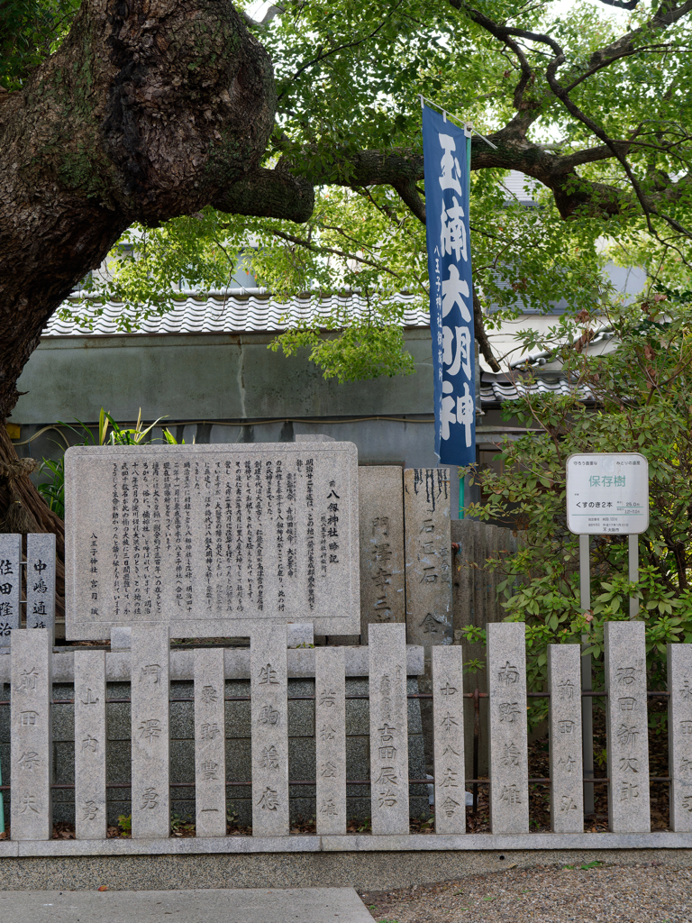 P1030252_DxO