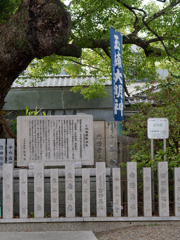 P1030252_DxO