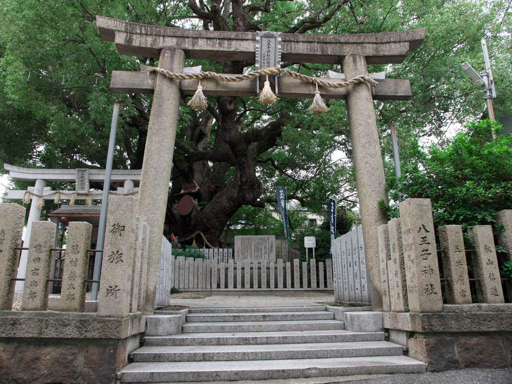 曇天