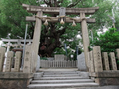曇天