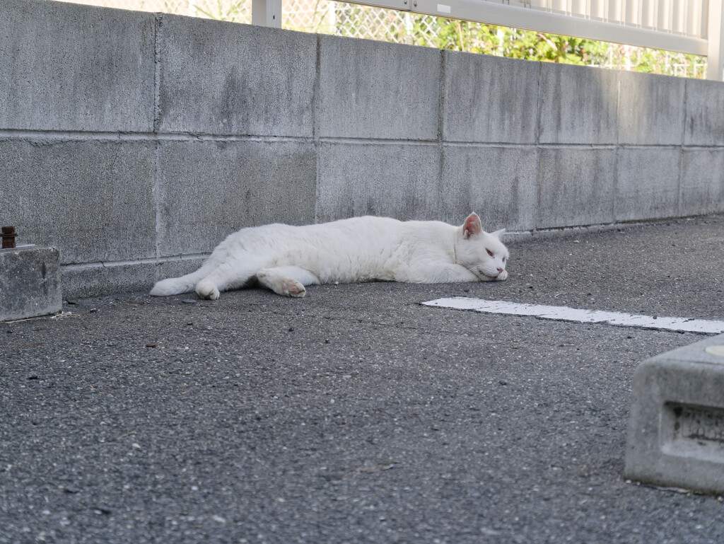 _1050538_DxO