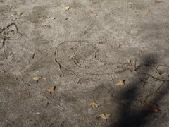 誰かさんの落書き