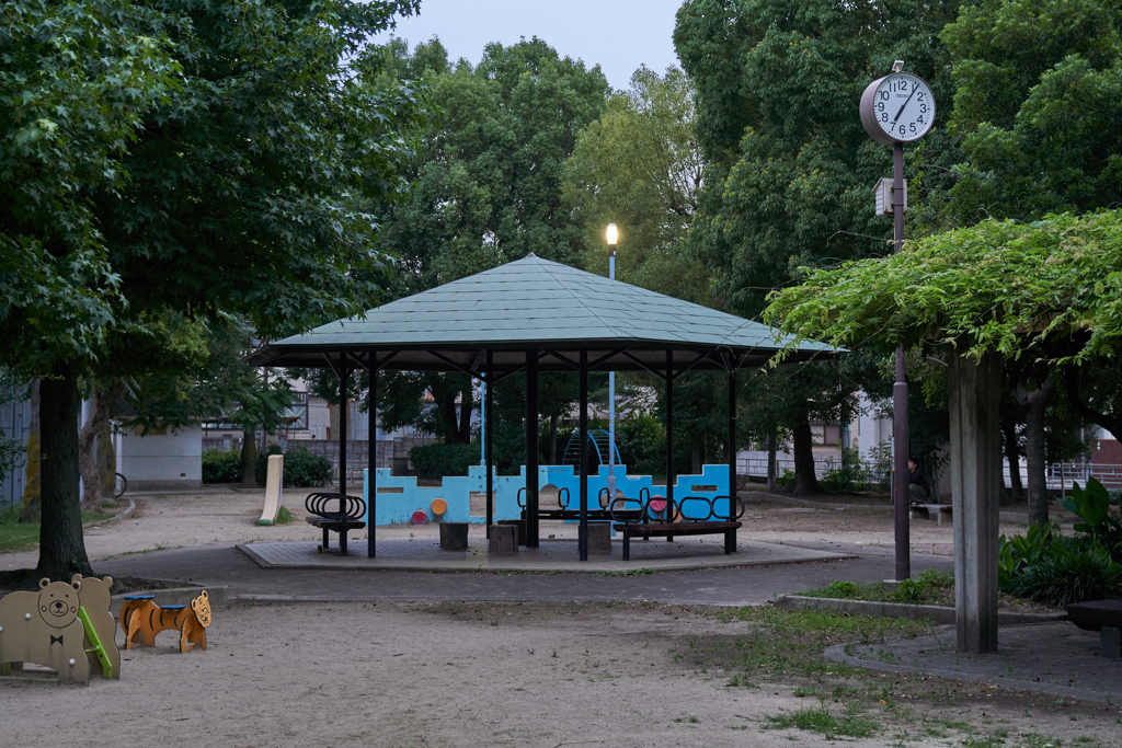 DSC06455