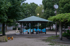 DSC06455