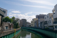 ナチュラル