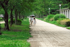 DSC01599