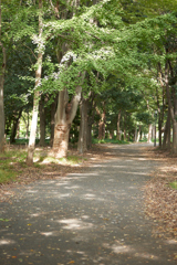 DSC03055