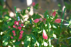 DSC03216b
