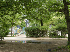 _1000664_DxO
