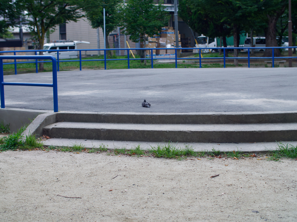 P1060395_DxO