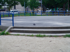 P1060395_DxO