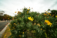DSC00066