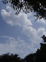 _1100054_DxO