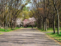 P1052748