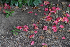 P1040982