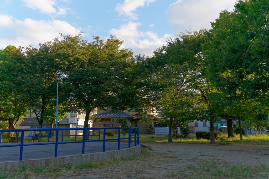 7R301243_DxO