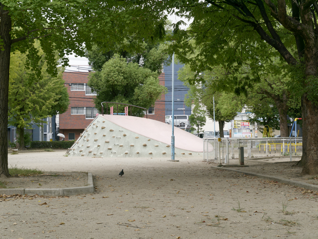 _1010654_DxO