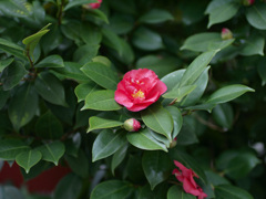 _1040064_DxO