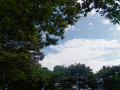 P1060637_DxO