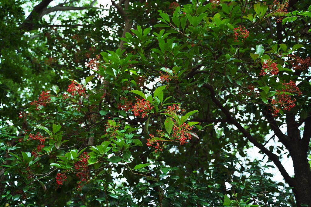 DSC01869