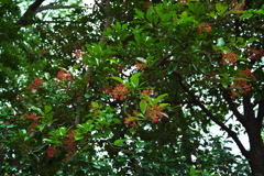 DSC01869