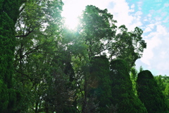 DSC01792