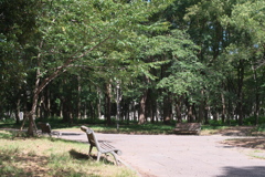 DSC02135_1