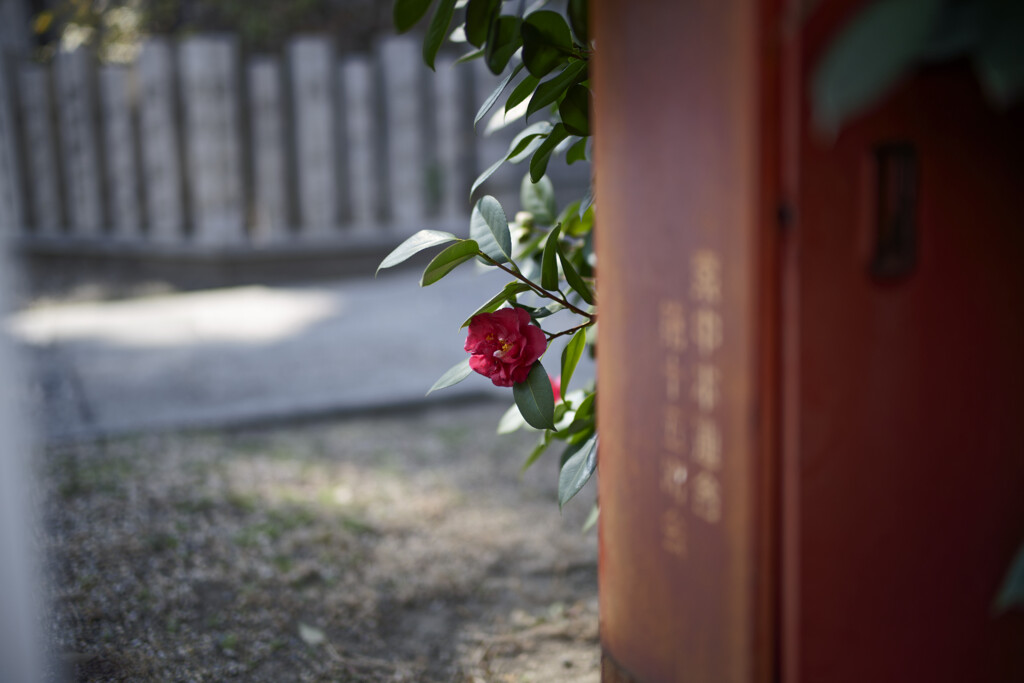 _7R32197_DxO